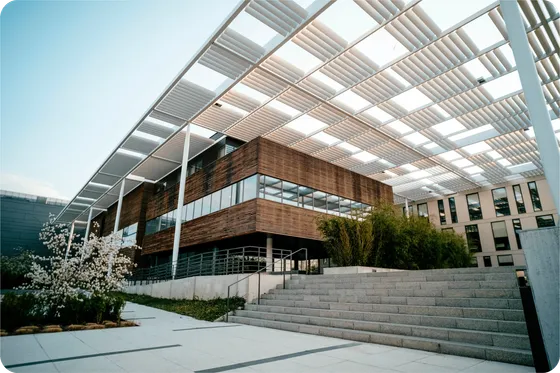 BluePeak Architecture Services