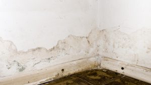 Quanto custa remodelar uma casa: Guia Completo de 2025